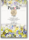 Pastelloコンサート フライヤー